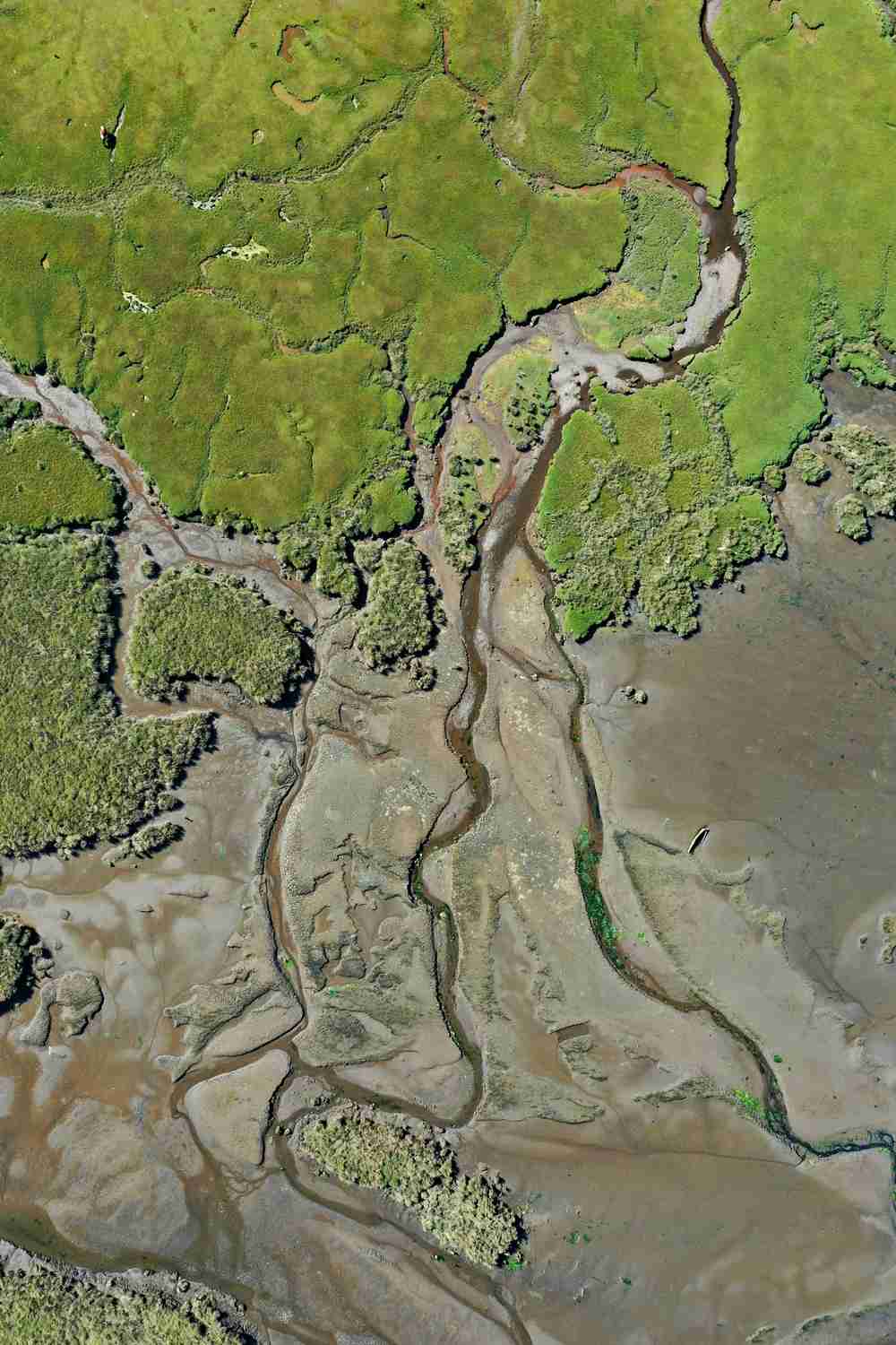 Topography and elevation